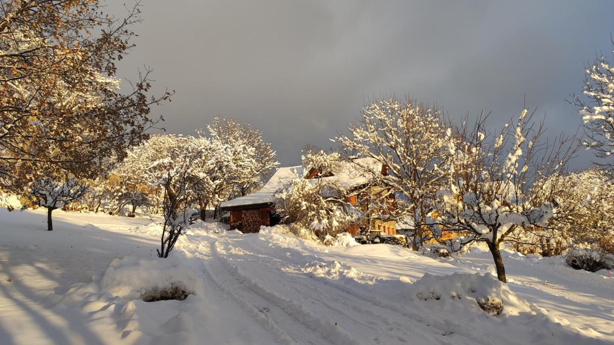 Puy-Sanieres Chalet Mounette Ski Sauna Lac Embrun מראה חיצוני תמונה